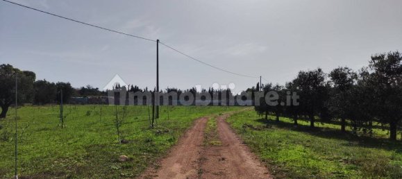 3 غرف نوم فيلا في Sannicola, Italy رقم 59648 14