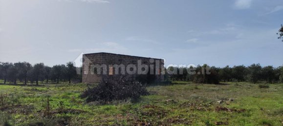 3 غرف نوم فيلا في Sannicola, Italy رقم 59648 10