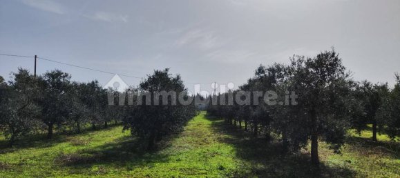 3 غرف نوم فيلا في Sannicola, Italy رقم 59648 11