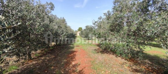 3 غرف نوم فيلا في Sannicola, Italy رقم 59648 2