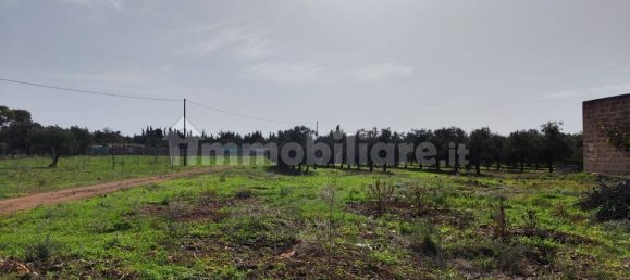 3 غرف نوم فيلا في Sannicola, Italy رقم 59648 15