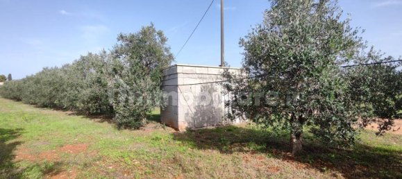 3 غرف نوم فيلا في Sannicola, Italy رقم 59648 16