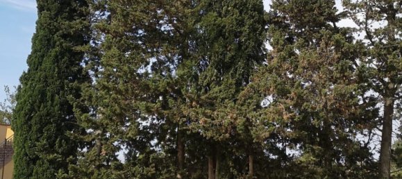 Villa T8 em Cattolica Eraclea, Italy N.º 387776 29