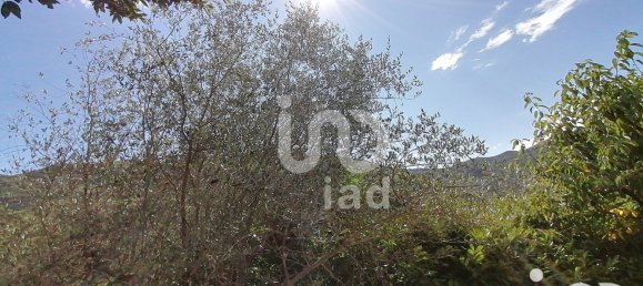 1 bedroom House in Alpes-Maritimes, France No. 287684 21