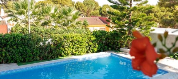 Villa de 6 dormitorios en Torrevieja, Spain No. 184763 33