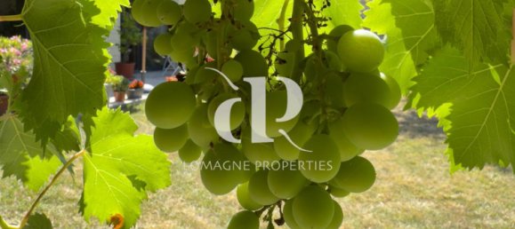 2 غرف نوم منزل في Fleurance, France رقم 360828 5