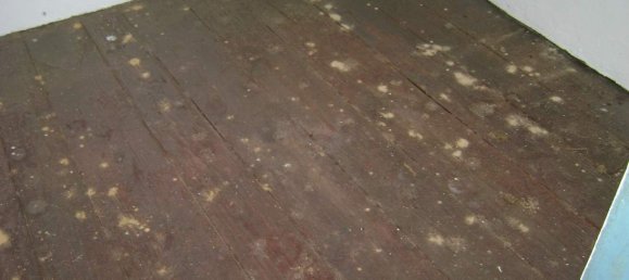 2 bedrooms House in Baiao, Portugal No. 59598 3