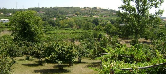 2 bedrooms House in Baiao, Portugal No. 59598 10