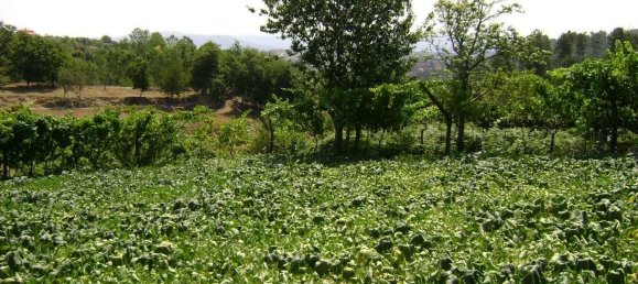 2 bedrooms House in Baiao, Portugal No. 59598 17