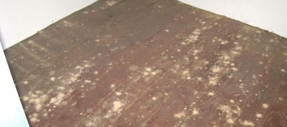 2 bedrooms House in Baiao, Portugal No. 59598 4