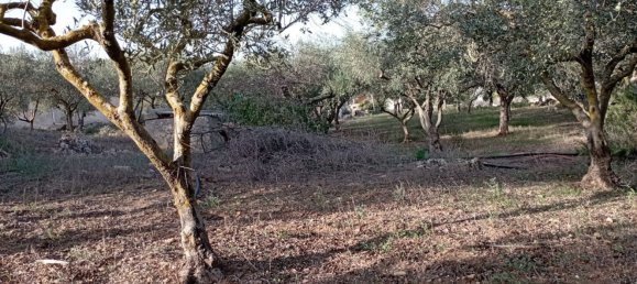 Дом с 6 комнатами в Марсала, Италия № 83595 3