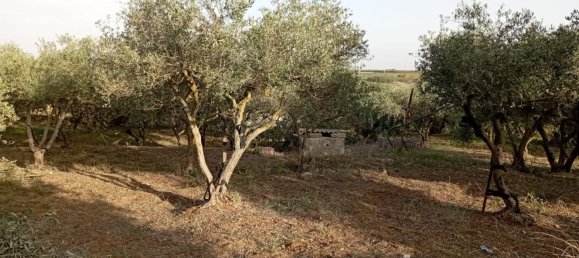 Дом с 6 комнатами в Марсала, Италия № 83595 4