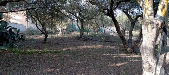 Дом с 6 комнатами в Марсала, Италия № 83595 2