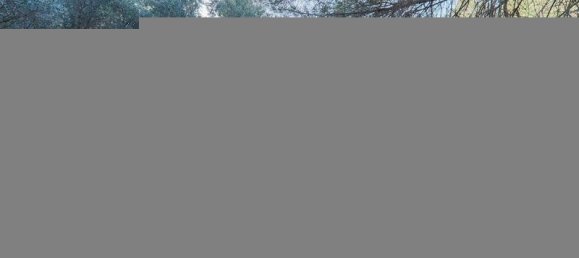 4791m² Land in Bigues i Riells, Spain No. 159624 17