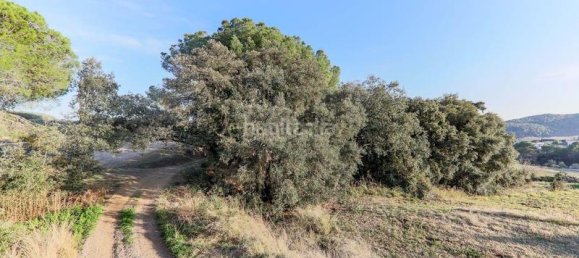 4791m² Land in Bigues i Riells, Spain No. 159624 9