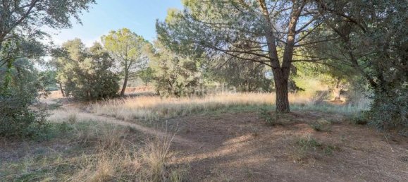 4791m² Land in Bigues i Riells, Spain No. 159624 2