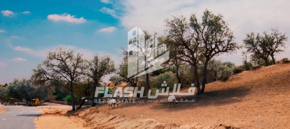 4 bedrooms Villa in Ras Al Khaimah, UAE No. 33104 23