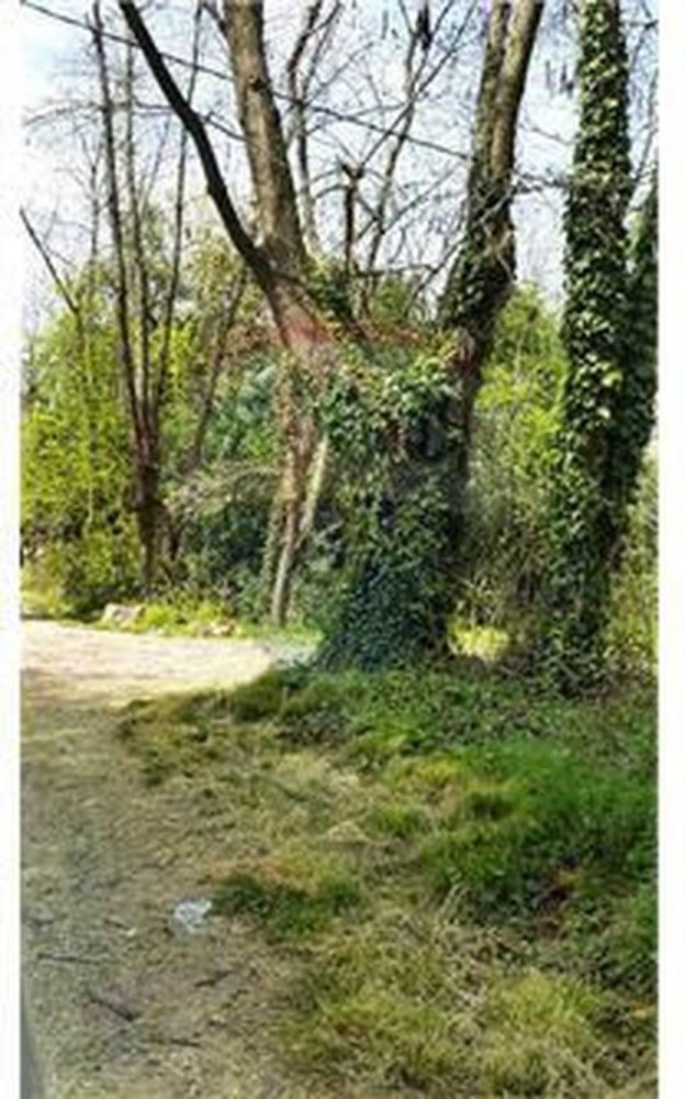  قطعة أرض في Pilar, Argentina رقم 34051