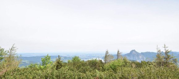 5-Zimmer Haus in Ebensee am Traunsee, Austria, Nr. 45559 11