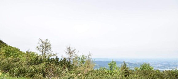 5-Zimmer Haus in Ebensee am Traunsee, Austria, Nr. 45559 12