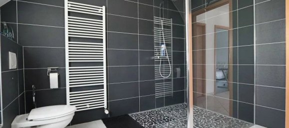 4 chambres Maison à Soultz-Haut-Rhin, France No. 216690 7