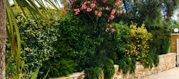 12 rooms Villa in Forte dei Marmi, Italy No. 105723 47