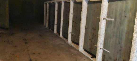 Квартира с 3 комнатами в Занкт Пёльтен, Австрия № 38902 23