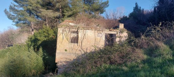 6-Zimmer Haus in Ripatransone, Italy, Nr. 69688 5