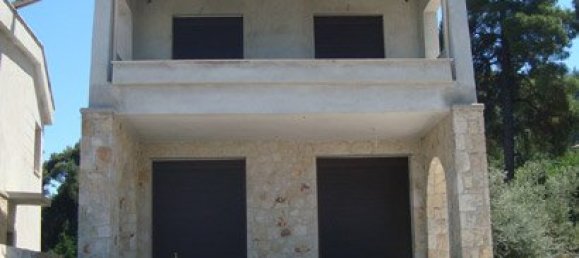 3000m² Property in Chalkidiki, Greece No. 8158 14