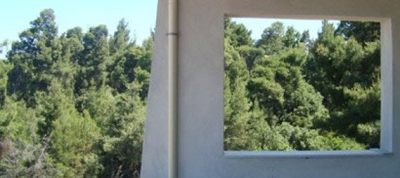 3000m² Property in Chalkidiki, Greece No. 8158 25