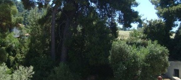 3000m² Property in Chalkidiki, Greece No. 8158 27