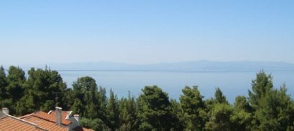 3000m² Property in Chalkidiki, Greece No. 8158 12
