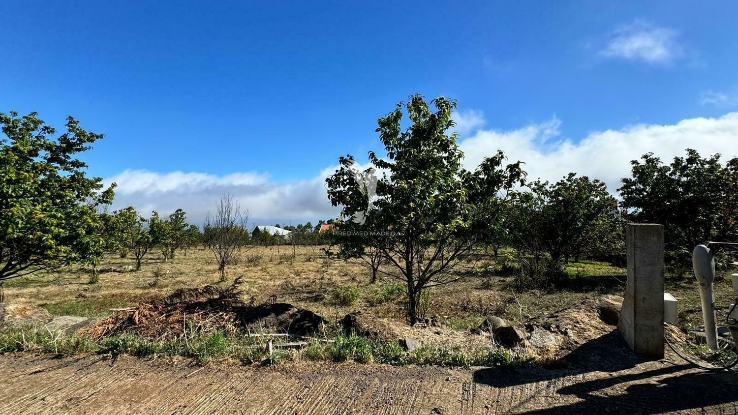 13m² Land in Calheta, Portugal No. 111373