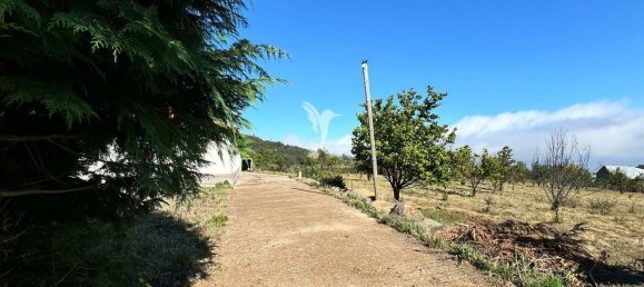 13m² Land in Calheta, Portugal No. 111373 4