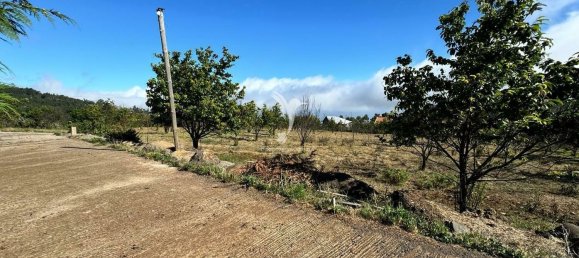 13m² Land in Calheta, Portugal No. 111373 3