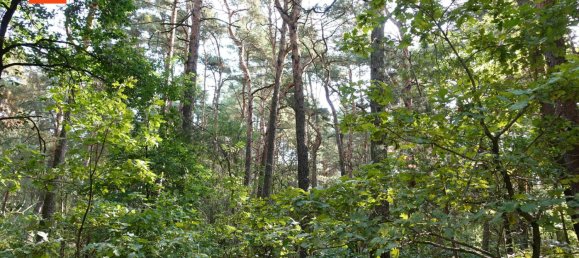 Grundstück in Bautzen, Germany, Nr. 363613 3