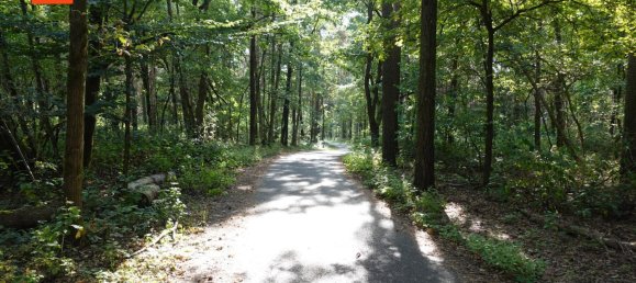 Grundstück in Bautzen, Germany, Nr. 363613 6