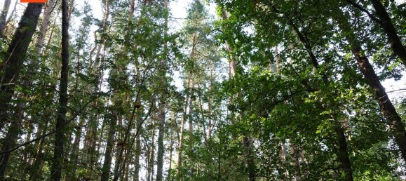 Grundstück in Bautzen, Germany, Nr. 363613 2