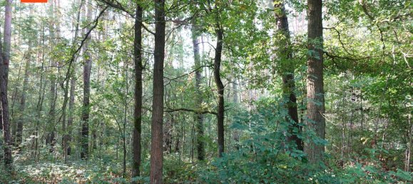 Grundstück in Bautzen, Germany, Nr. 363613 4