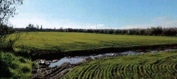 Grundstück in Viterbo, Italy 17605m², Nr. 306609 10