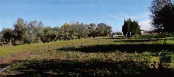 Grundstück in Viterbo, Italy 17605m², Nr. 306609 13