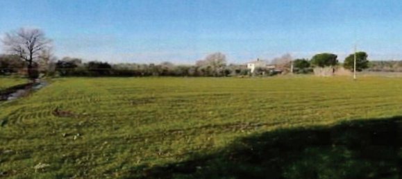 Grundstück in Viterbo, Italy 17605m², Nr. 306609 12