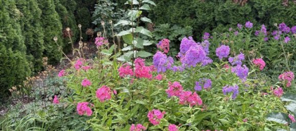 3-salle Bungalow à Ingolstadt, Germany No. 301083 8