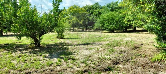 5 bedrooms House in Vouzela, Portugal No. 19045 7