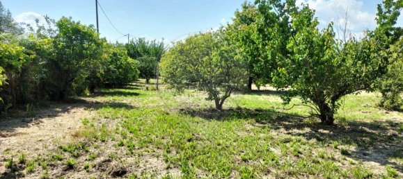 5 bedrooms House in Vouzela, Portugal No. 19045 8