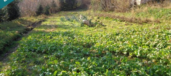 5 bedrooms House in Nozieres, France No. 289620 10