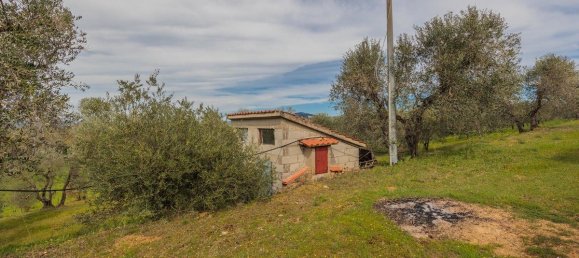 4 bedrooms House in Grosseto, Italy No. 19387 14