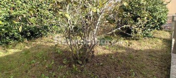 4 Schlafzimmer Wohnung in Luni, Italy, Nr. 66654 28