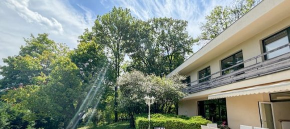 7 rooms Villa in Maria Enzersdorf, Austria No. 256938 2