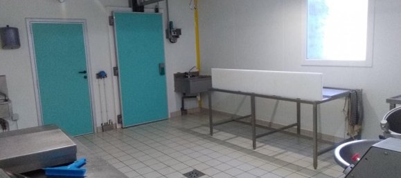 5 bedrooms House in Langogne, France No. 299677 11